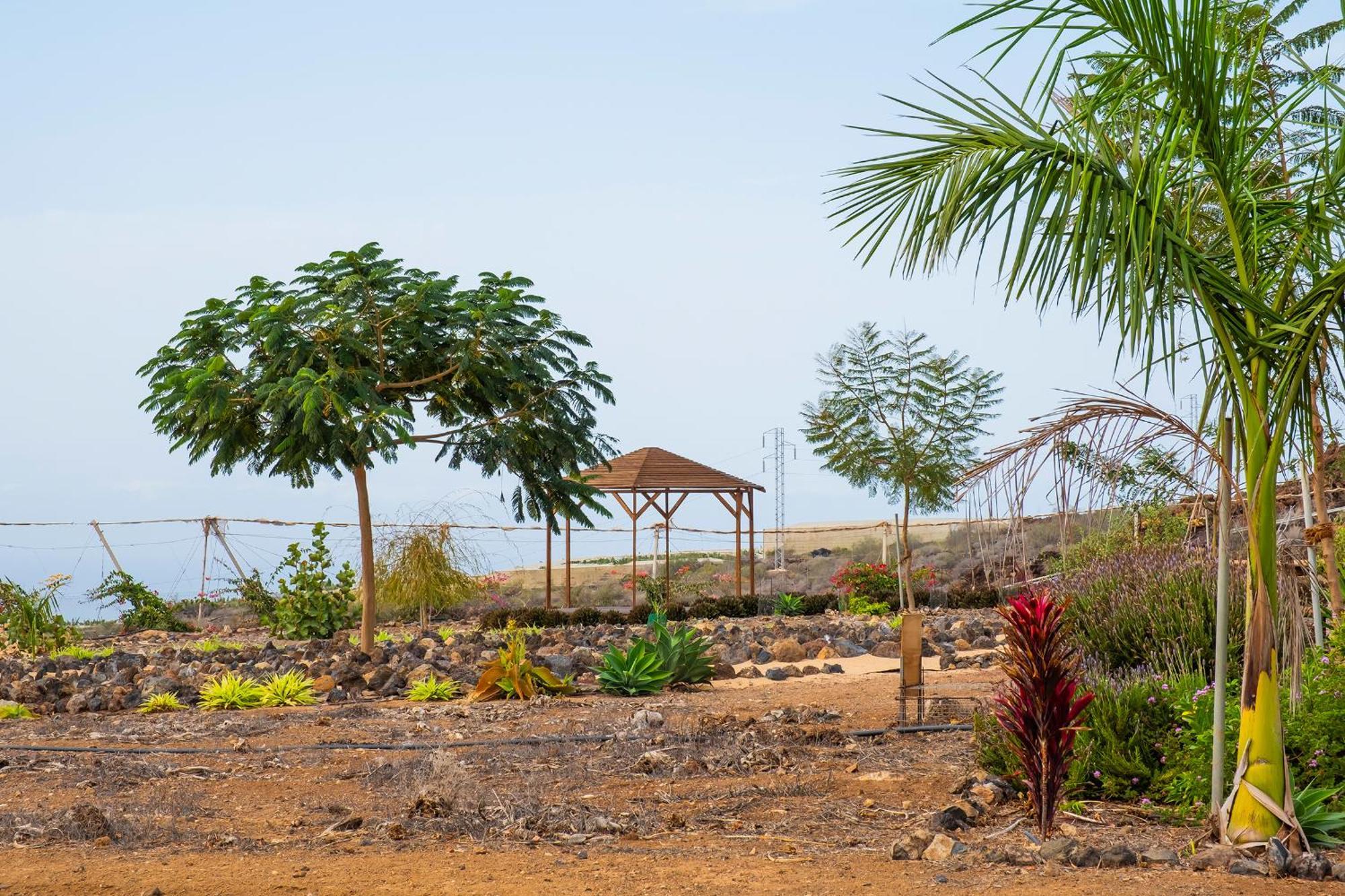 Tenerife Healing Garden 吉亚德索拉 外观 照片